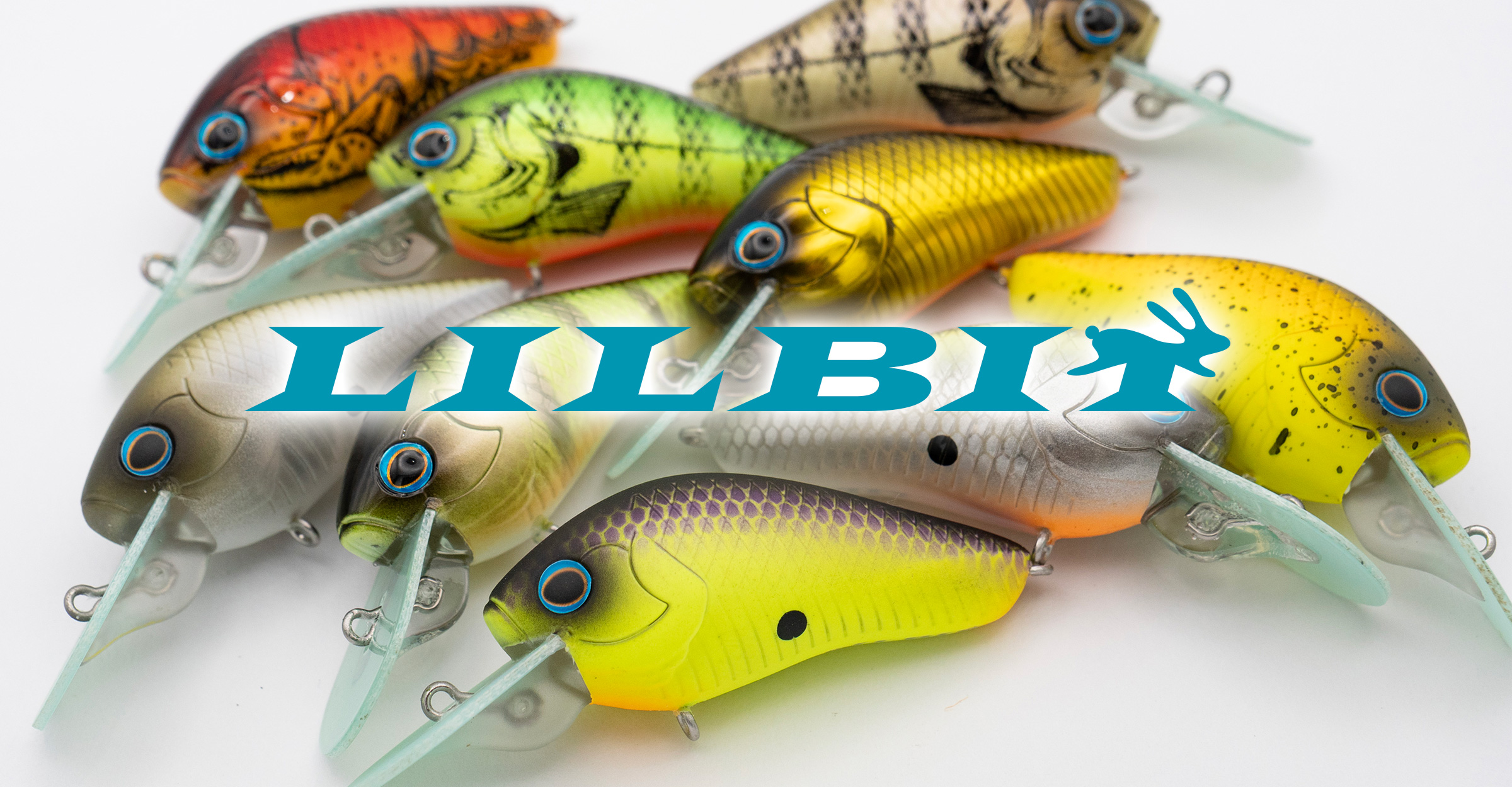 BASS LURE