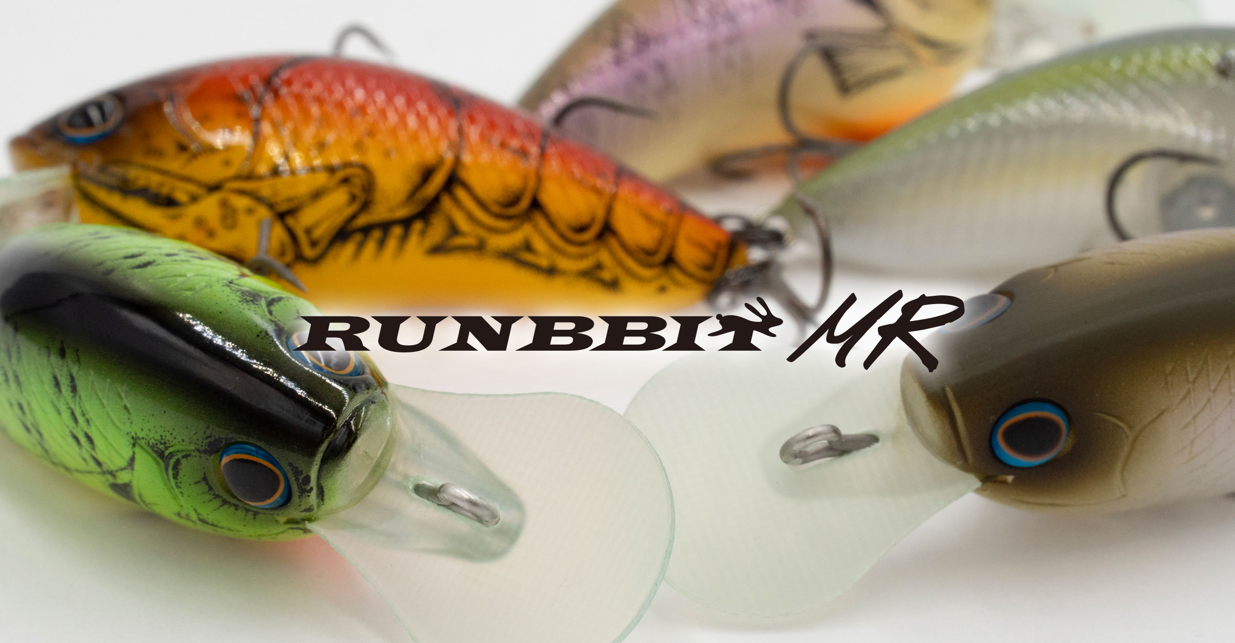 BASS LURE