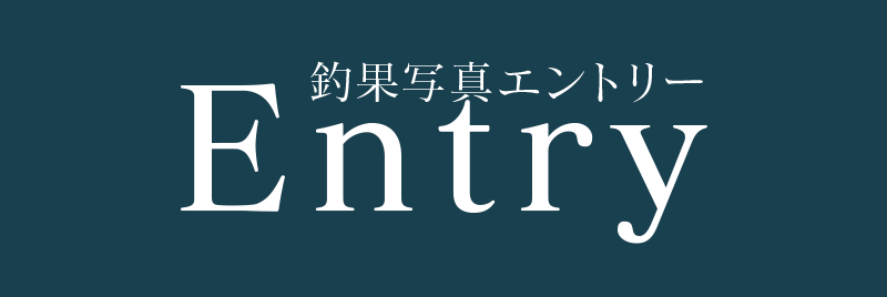 ギャラリーエントリー