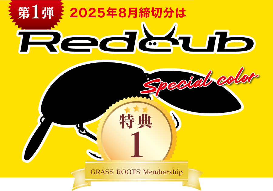 限定カラールアー年1回お届け