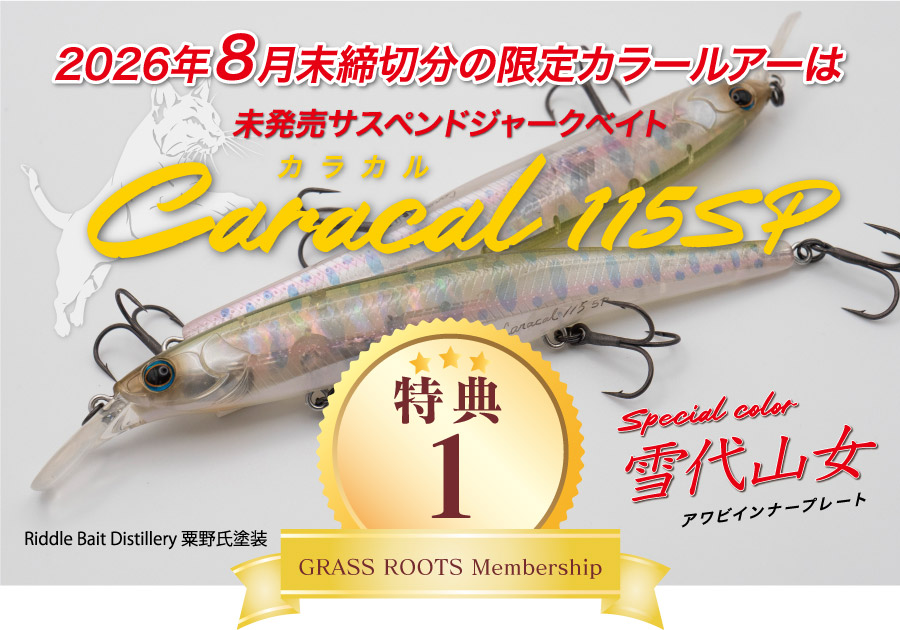 限定カラールアー年1回お届け