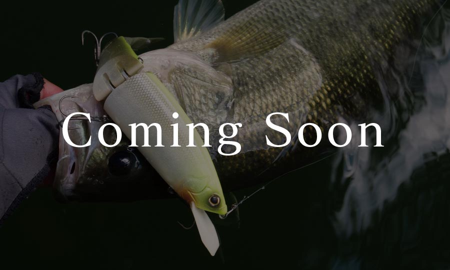 COMING SOON