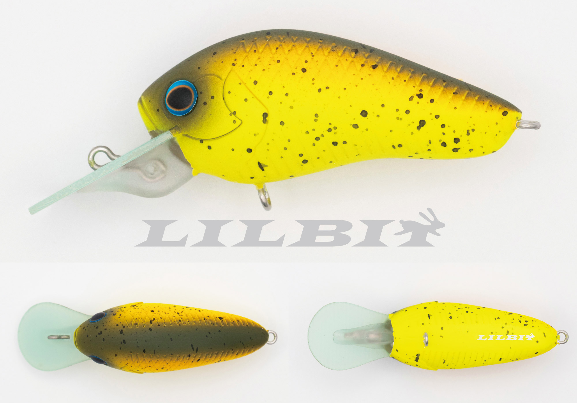 #021USブリーム U.S. Bream