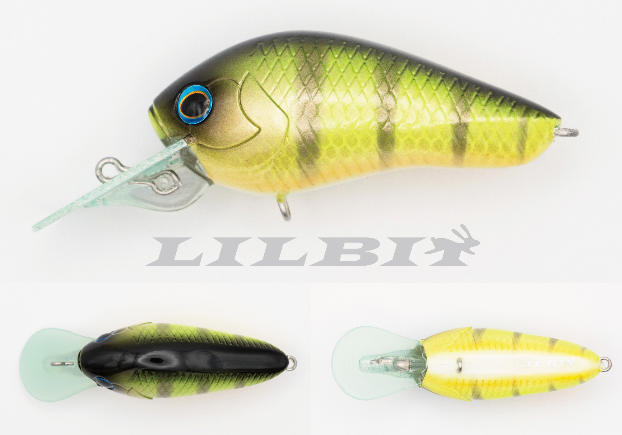 #201フレンチパーチ French Perch
